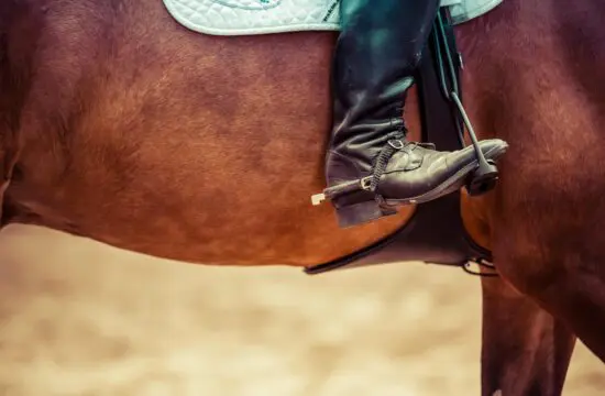 improve horseback riding performance with physical therapy