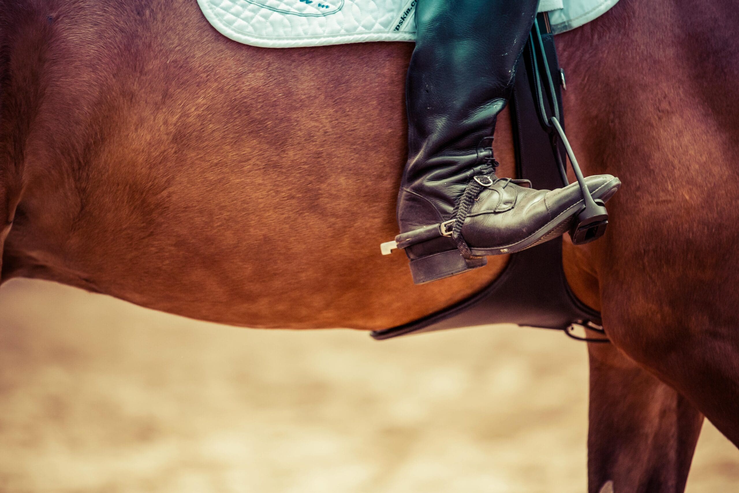 improve horseback riding performance with physical therapy